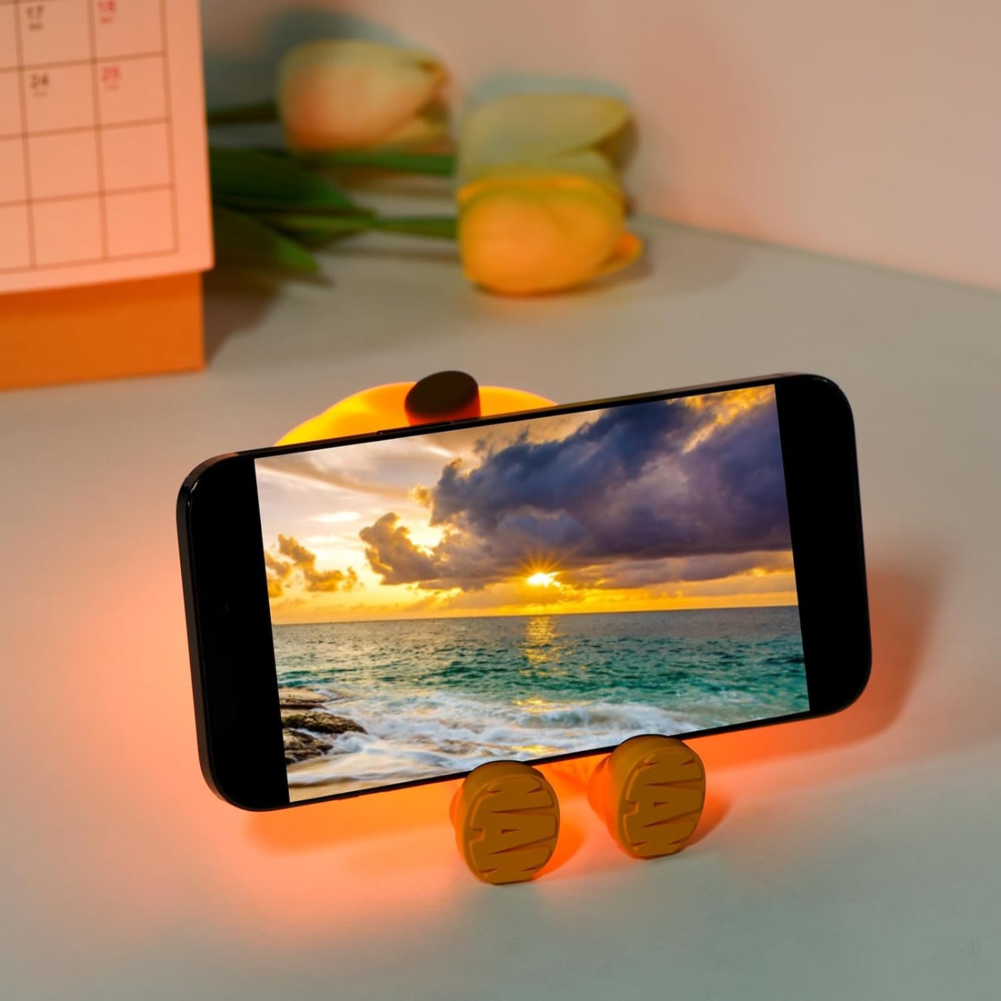 Charming Pumpkin LED Night Light